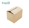 Camphor Powder