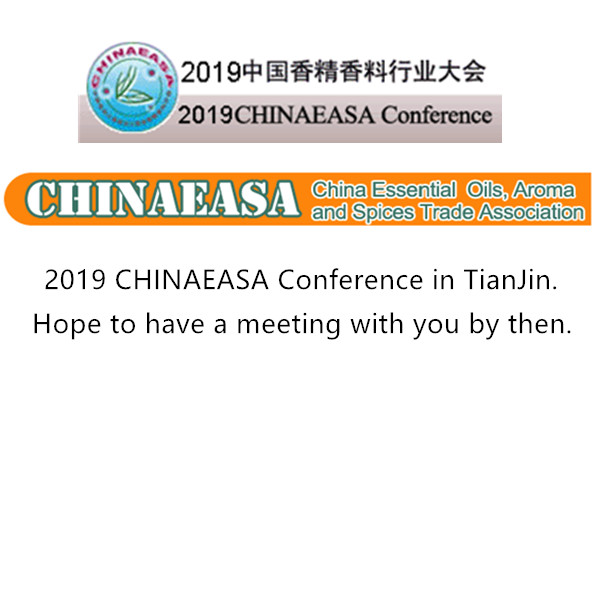CHINAEASA Conference 2019