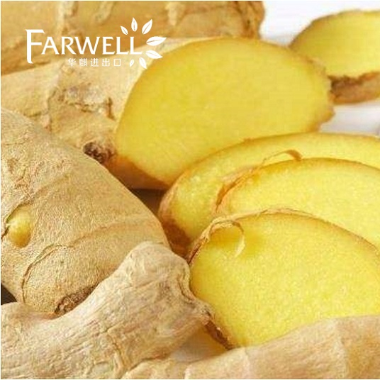 Ginger Oil